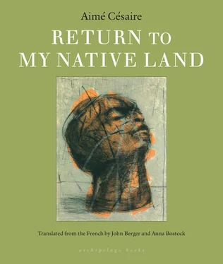 Aime Cesaire Return to my Native Land обложка книги