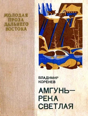 Владимир Коренев Амгунь — река светлая обложка книги