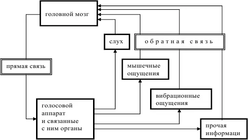 Психологическая сущность самоконтроля и саморегуляции певца состоит в том что - фото 6