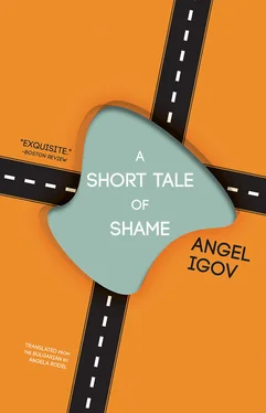 Angel Igov A Short Tale of Shame обложка книги