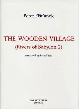 Peter Pišťanek The Wooden Village обложка книги