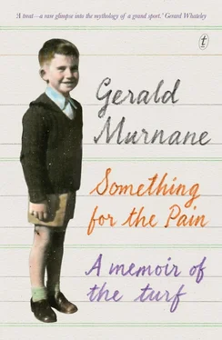 Gerald Murnane Something for the Pain: A Memoir of the Turf обложка книги