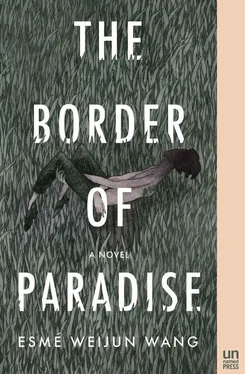 Esmé Wang The Border of Paradise обложка книги