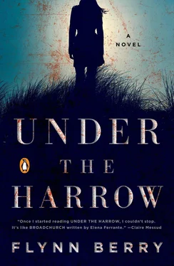 Flynn Berry Under the Harrow обложка книги