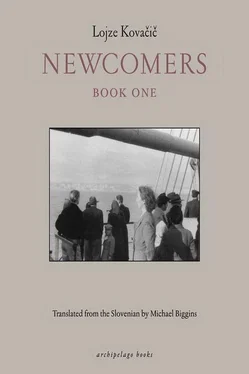 Lojze Kovačič Newcomers обложка книги