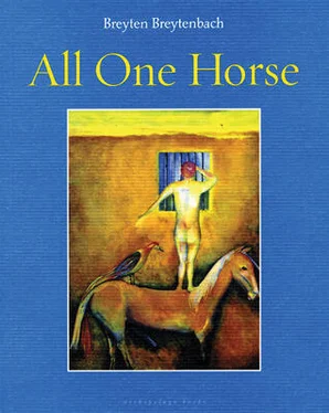 Breyten Breytenbach All One Horse обложка книги