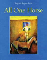Breyten Breytenbach - All One Horse
