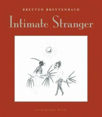 Breyten Breytenbach Intimate Stranger обложка книги