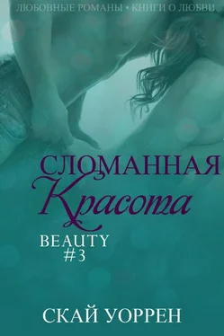 Unknown Skay_Uorren_-_Slomannaya_krasota_ch_3_vychitka_oformlenie обложка книги