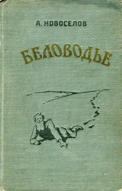 Александр Новосёлов Беловодье обложка книги