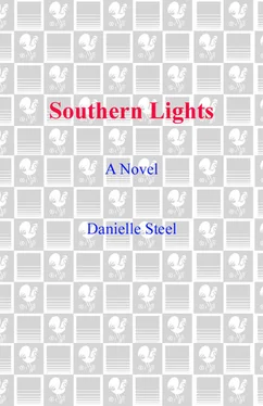 Danielle Steel Southern Lights: A Novel обложка книги