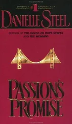 Danielle Steel - Passion's Promise