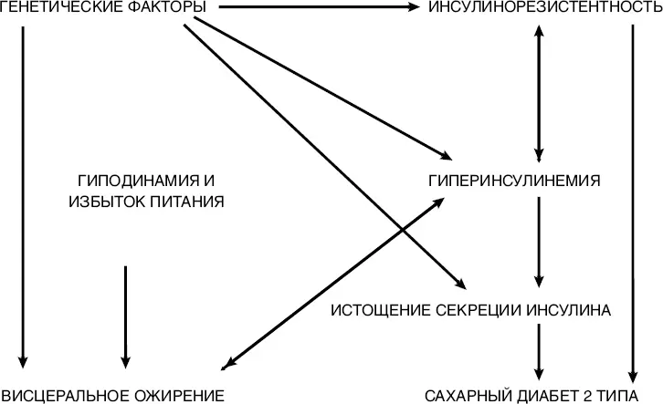 Рис 2 Механизм развития метаболического синдрома Для оценки - фото 37