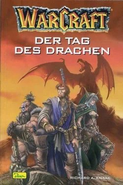 Richard Knaak Der Tag des Drachen обложка книги