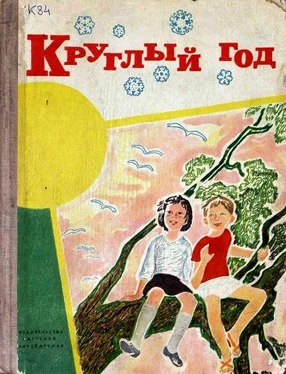 Галина Карпенко Спор в «Петушке» обложка книги