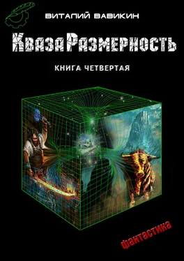 Виталий Вавикин КвазаРазмерность. Книга 4 обложка книги