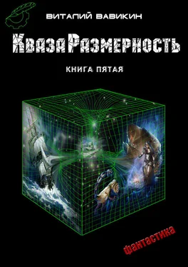 Виталий Вавикин КвазаРазмерность. Книга 5 обложка книги