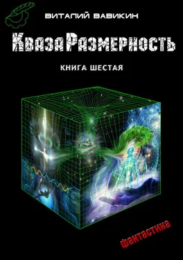 Виталий Вавикин КвазаРазмерность. Книга 6 обложка книги