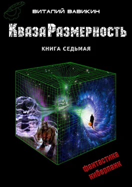 Виталий Вавикин КвазаРазмерность. Книга 7 обложка книги