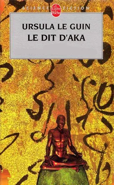 Ursula Le Guin Le Dit d'Aka обложка книги