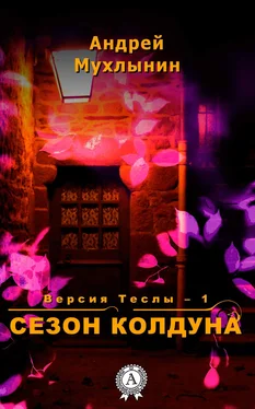 Андрей Мухлынин Сезон Колдуна обложка книги