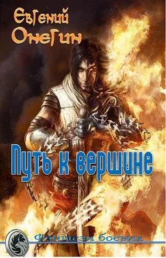 Евгений Онегин Путь к вершине обложка книги