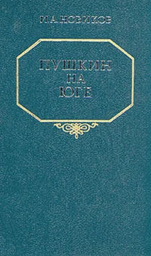 Иван Новиков Пушкин на юге обложка книги