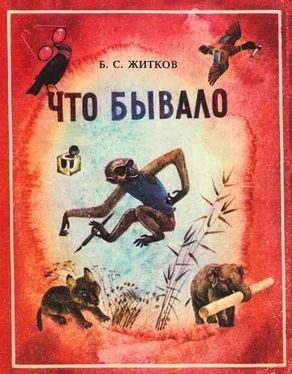 Борис Житков Что бывало обложка книги