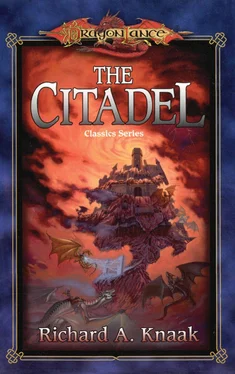 Richard Knaak The Citadel обложка книги