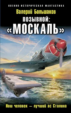 Валерий Большаков Позывной: «Москаль». Наш человек – лучший ас Сталина обложка книги