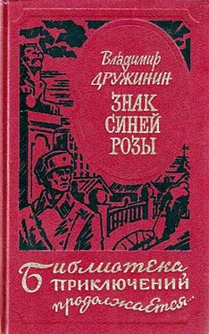 Владимир Дружинин Знак синей розы обложка книги