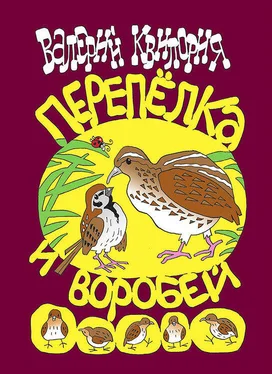 Валерий Квилория Перепёлка и Воробей обложка книги