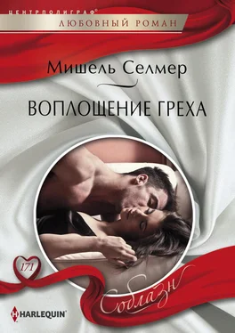 Мишель Селмер Воплощение греха обложка книги