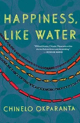 Chinelo Okparanta - Happiness, Like Water