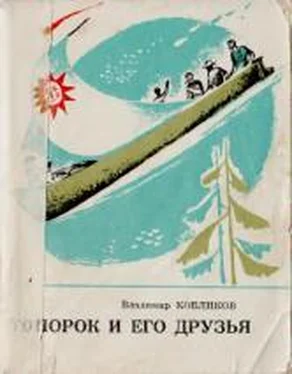 Владимир Кобликов Топорок и его друзья обложка книги