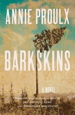 Annie Proulx Barkskins обложка книги