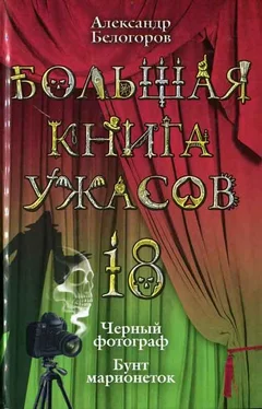 Александр Белогоров Бунт марионеток обложка книги