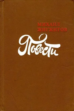 Михаил Жигжитов За ущельем Семи Волков обложка книги