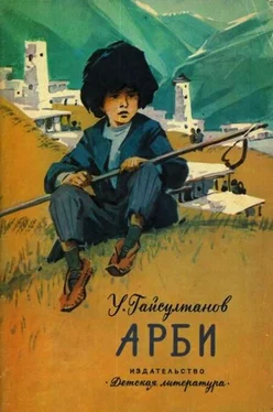Умар Гайсултанов Арби обложка книги