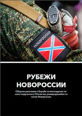 Владислав Ельников Рубежи Новороссии обложка книги