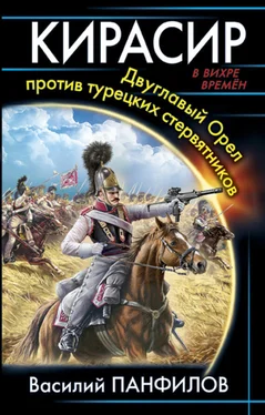 Василий Панфилов Кирасир. Двуглавый Орёл против турецких стервятников обложка книги