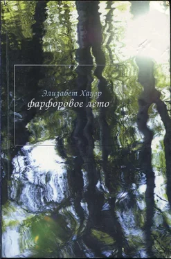 Элизабет Хауэр Фарфоровое лето обложка книги