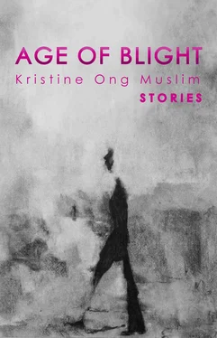 Kristine Muslim Age of Blight: Stories обложка книги