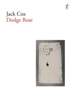 Jack Cox Dodge Rose обложка книги