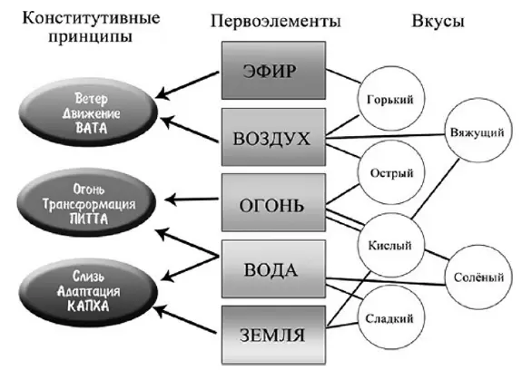 Огонь это трансформация Огонь организма переваривает пищу частично превращая - фото 1