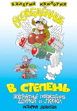 Валерий Квилория Возведённые в степень обложка книги