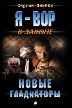 Сергей Зверев Новые гладиаторы обложка книги