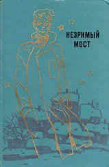 Александр Шалимов - Кто нажмет на «стоп-кран»?