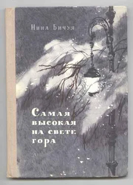 Нина Бичуя Самая высокая на свете гора обложка книги