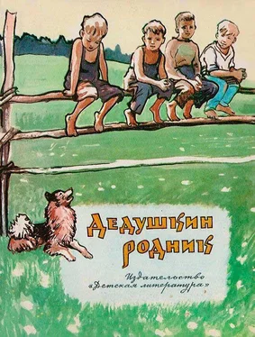 Аркадий Клабуков Дедушкин родник обложка книги